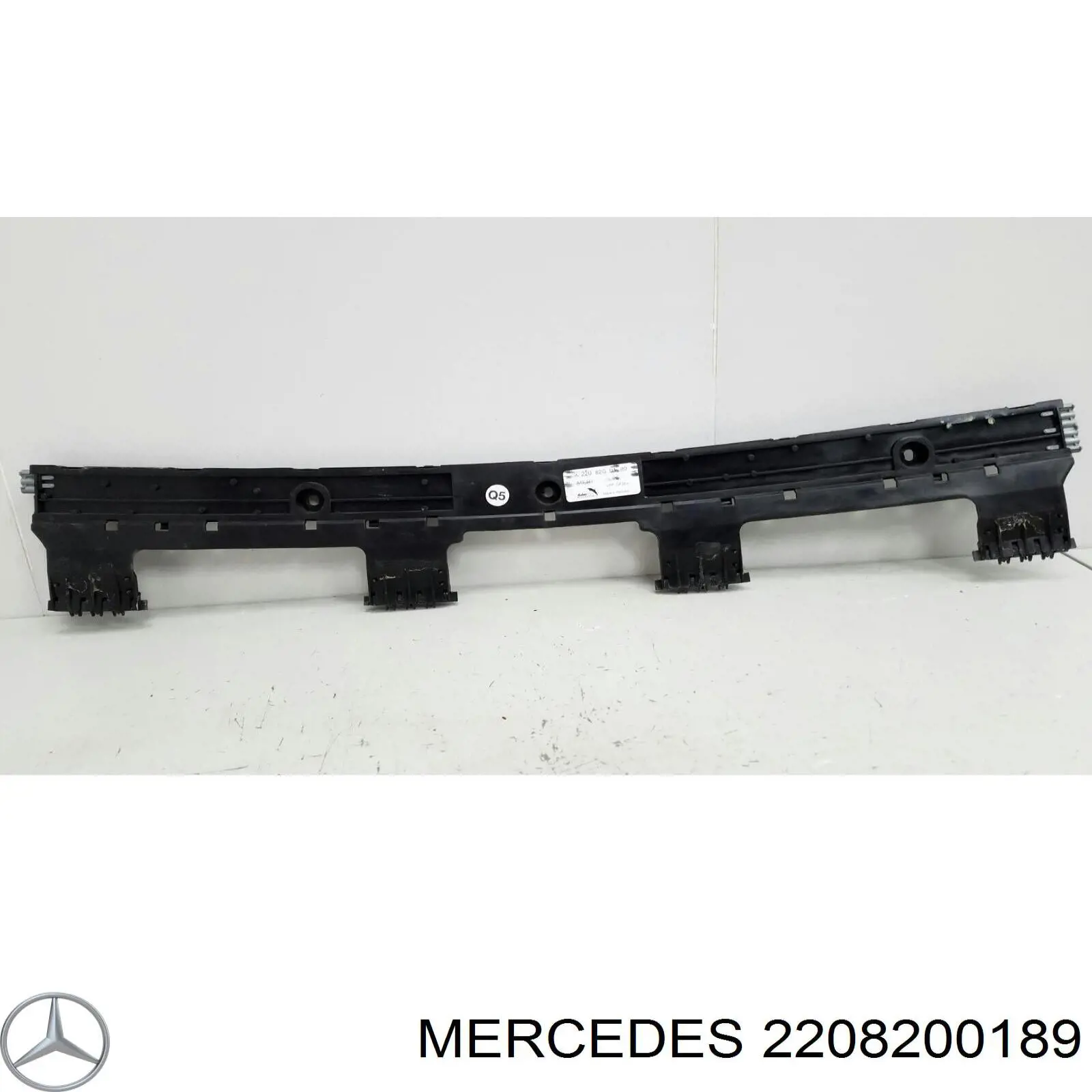 2208200189 Mercedes 