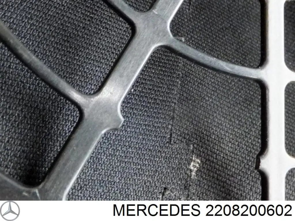  2208200602 Mercedes