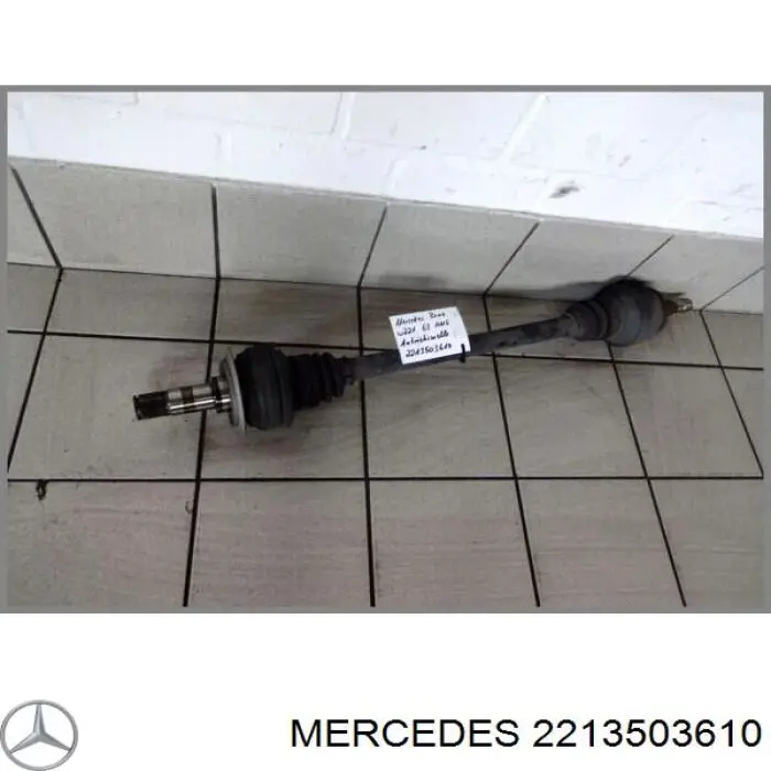 A2213503610 Mercedes Привод задний