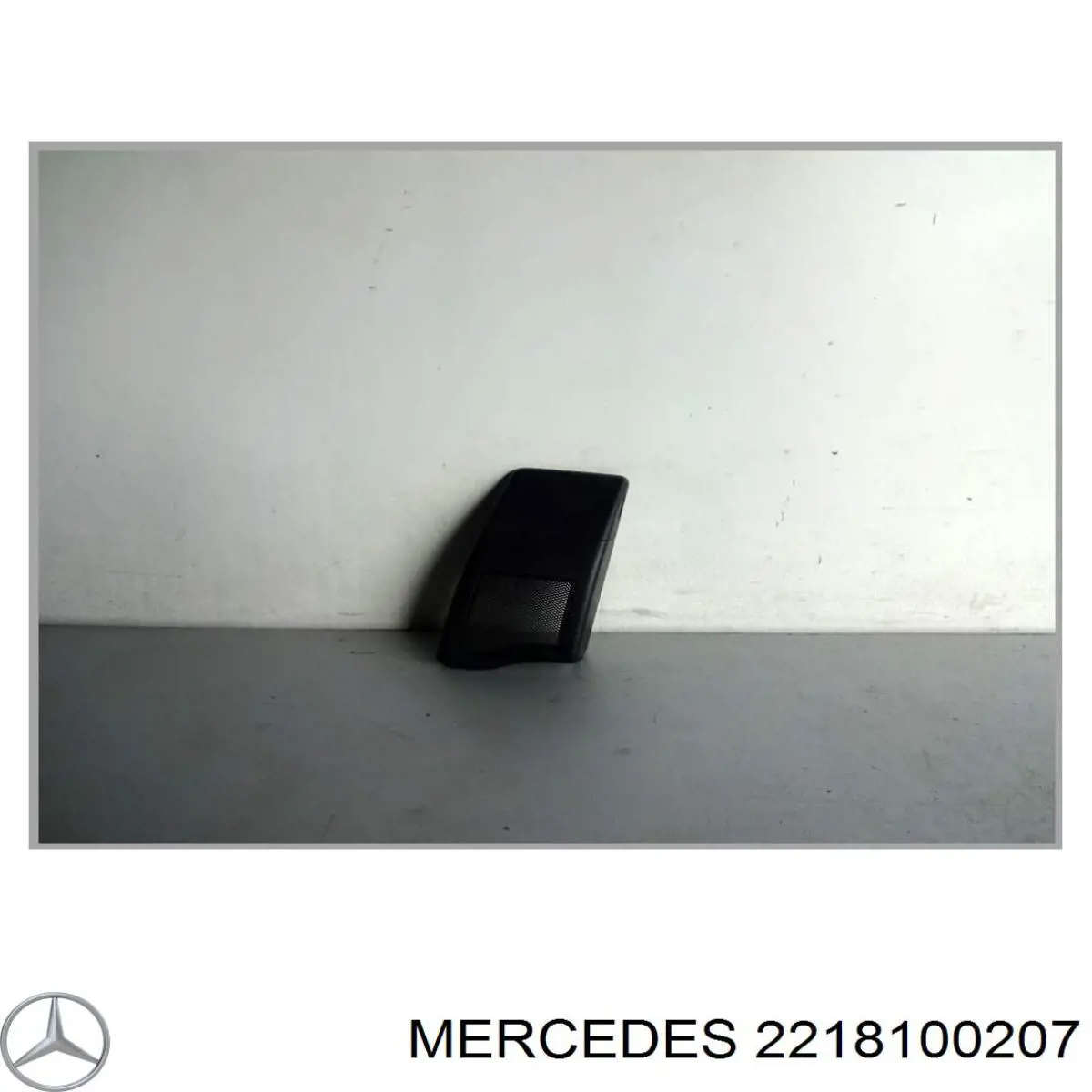  2218100207 Mercedes