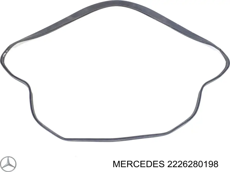 2226280198 Mercedes 