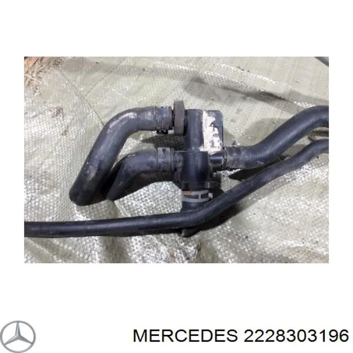  A2228303196 Mercedes