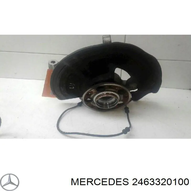  2463320100 Mercedes