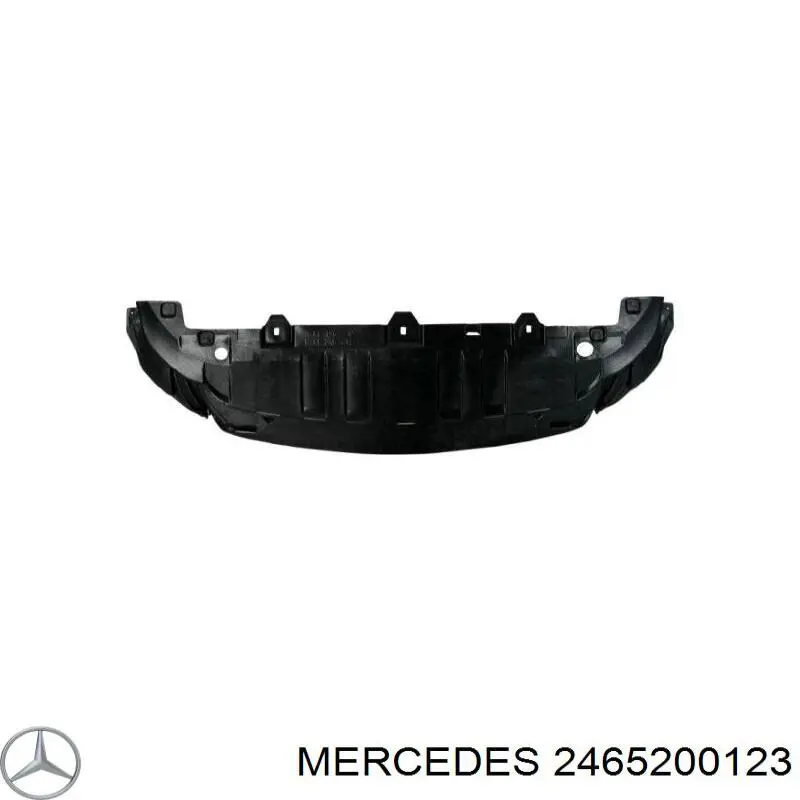 2465200123 Mercedes