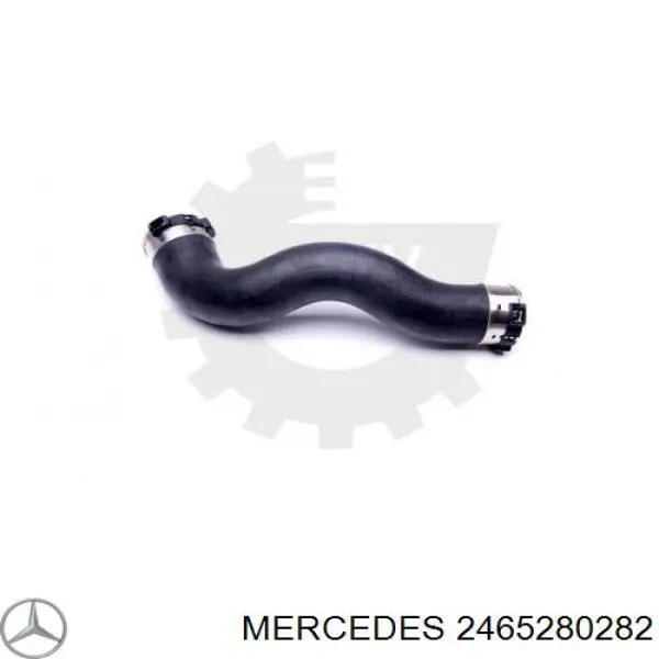 2465280282 Mercedes 