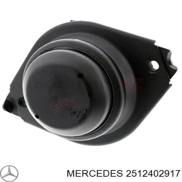  2512402917 Mercedes