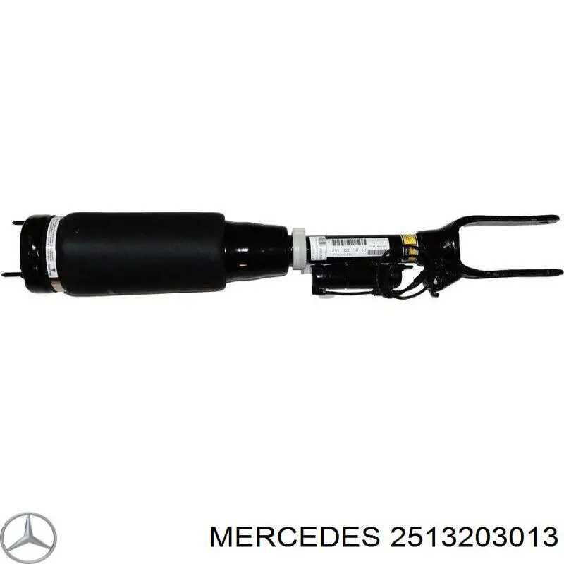 Амортизаторы передние Mercedes 2513203013