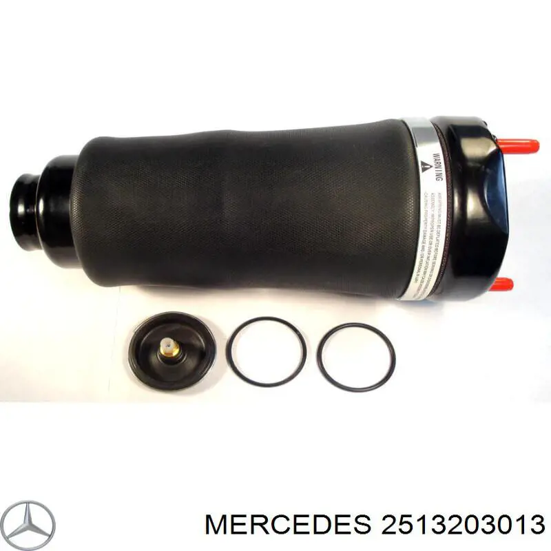 2513203013 Mercedes амортизатор передний