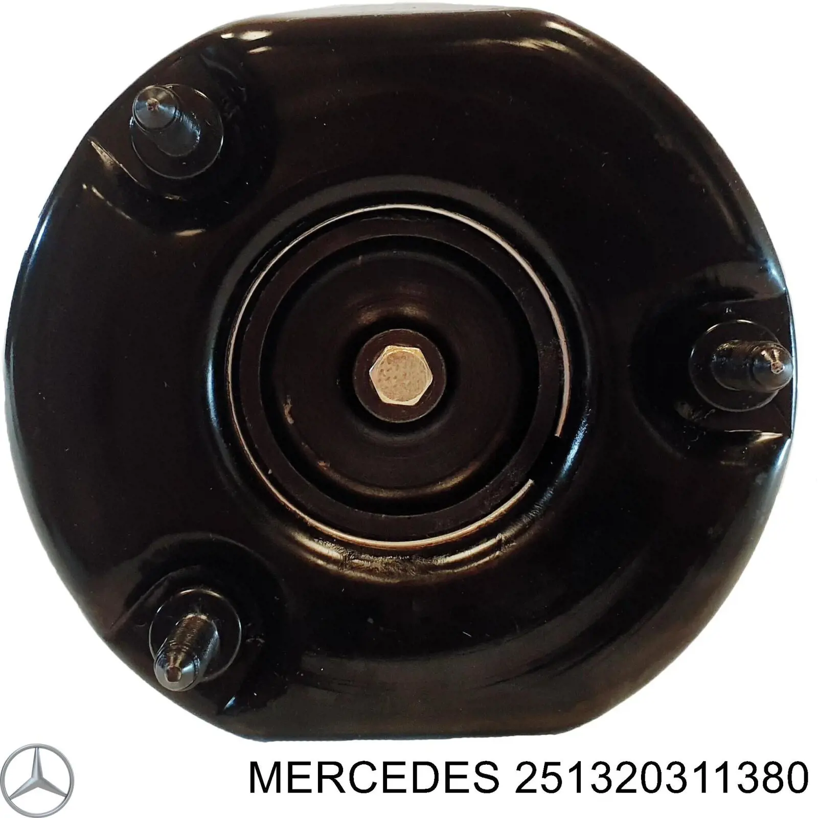 251320311380 Mercedes амортизатор передний