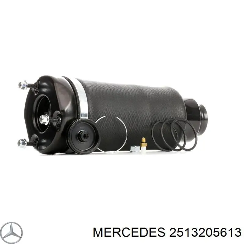 2513205613 Mercedes amortecedor dianteiro