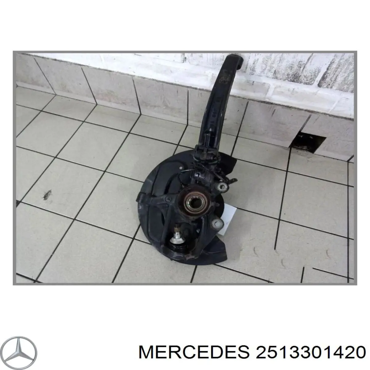  251330142028 Mercedes