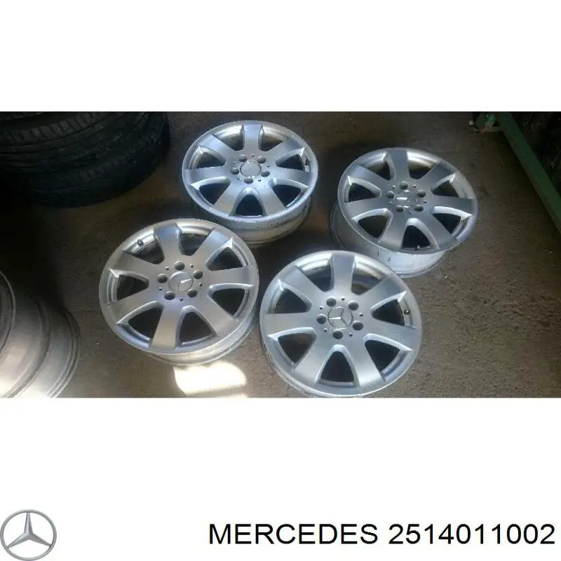 2514011002 Mercedes 