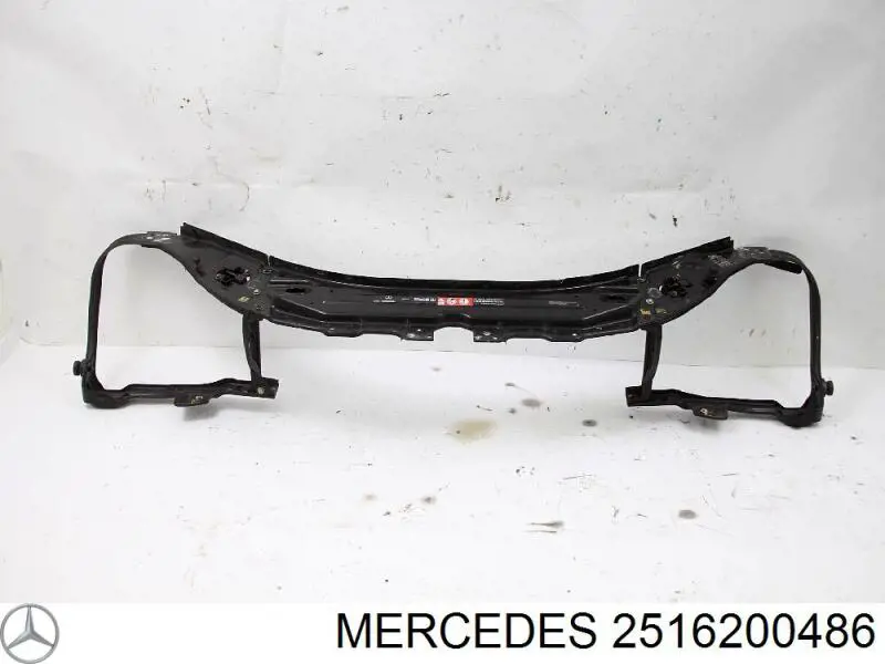 2516200486 Mercedes Накладка решетки радиатора