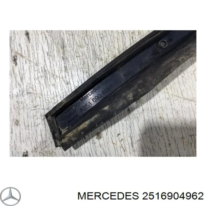 2516904962 Mercedes накладка (кузов наружные)