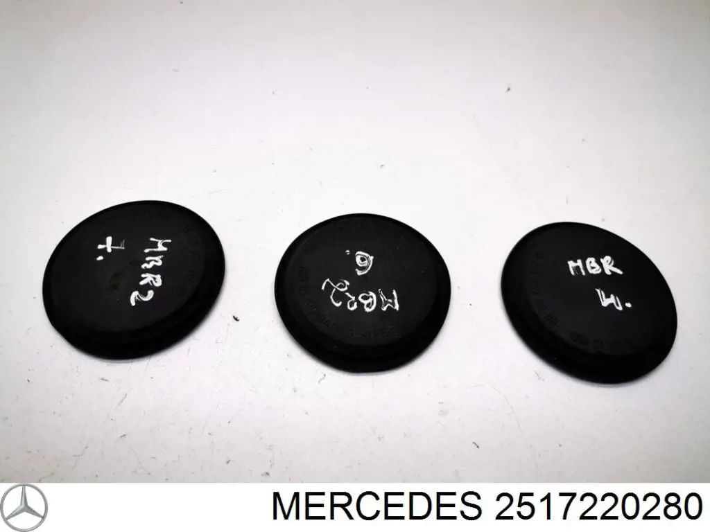 2517220280 Mercedes 