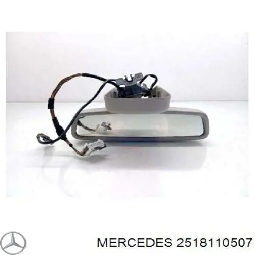 2518110507 Mercedes 