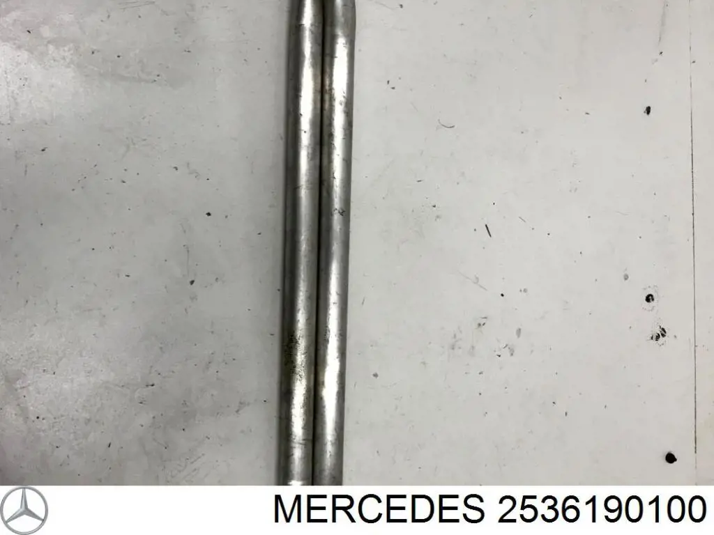  2536190100 Mercedes