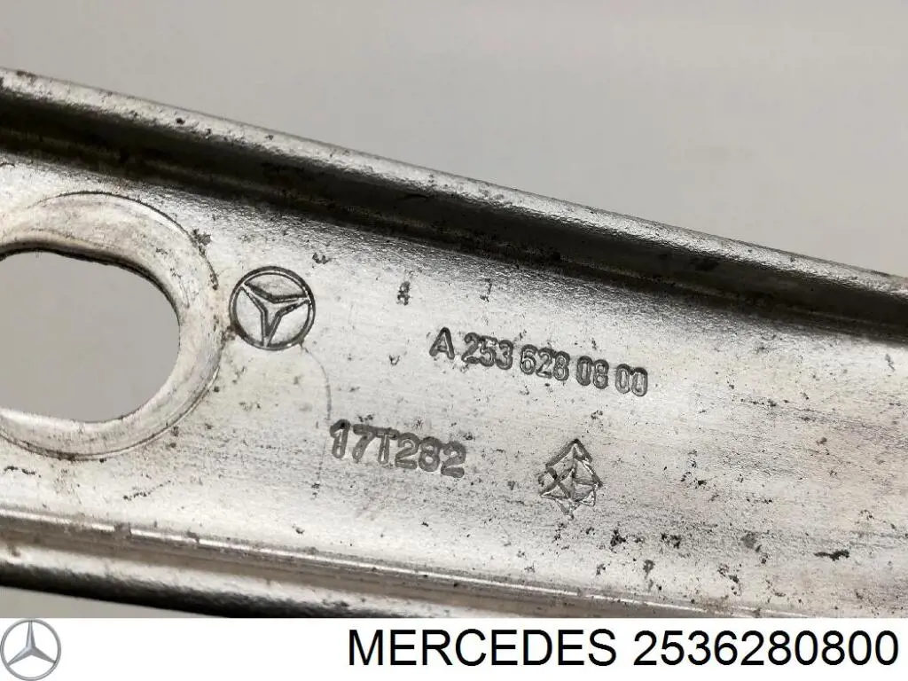 2536280800 Mercedes 