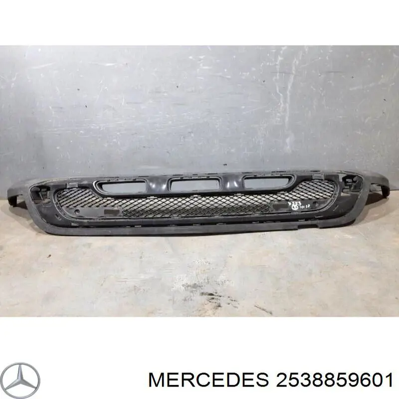  2538859601 Mercedes