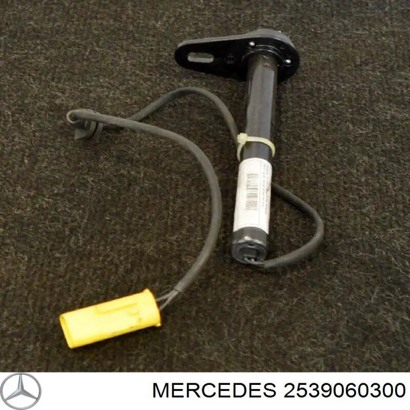  2539060300 Mercedes