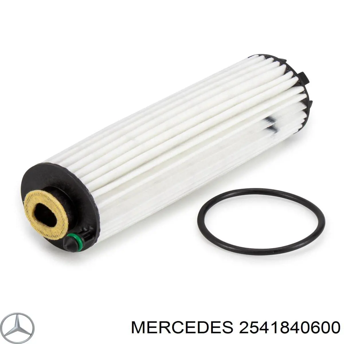  2541840600 Mercedes