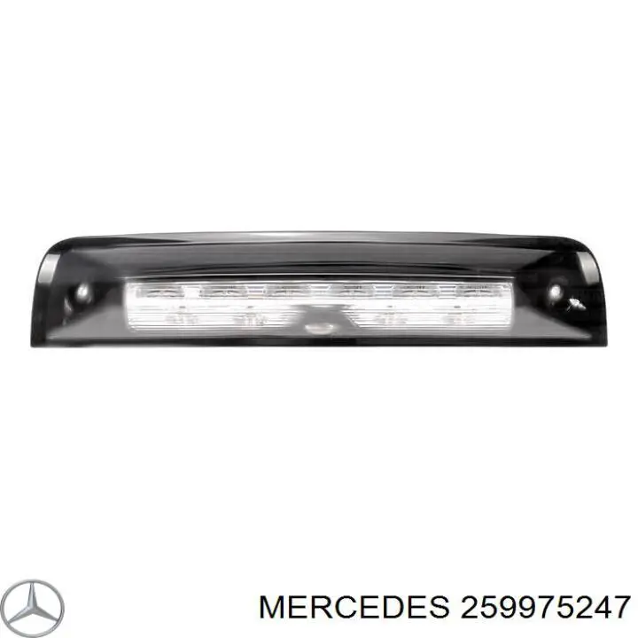 259975247 Mercedes vedação da caixa automática de mudança (de árvore de saída/primária)