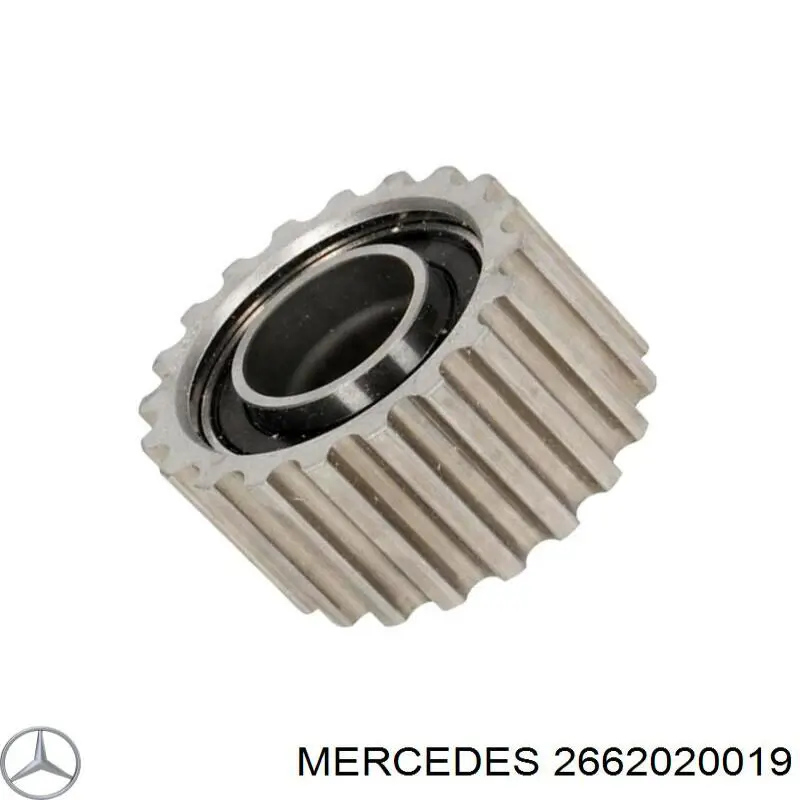 Ролик паразитный Mercedes 2662020019