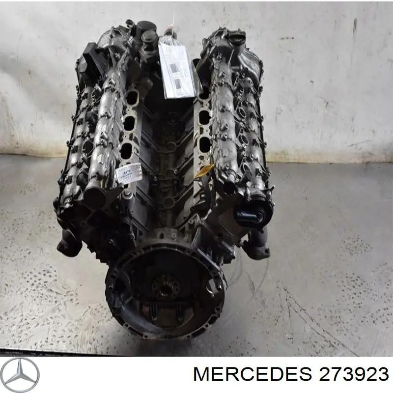 273923 Mercedes Мотор в сборе