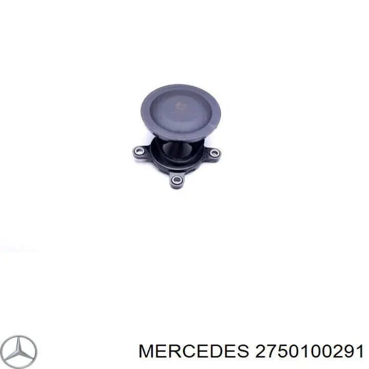  Mercedes 2750100291 цена, от 47.57 USD