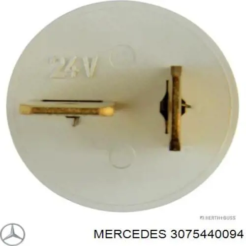  3075440094 Mercedes