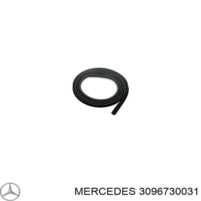  3096730031 Mercedes