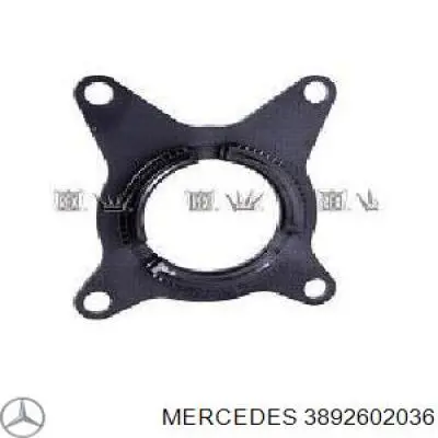 Купить 60530686 Euroricambi Кольцо синхронизатора