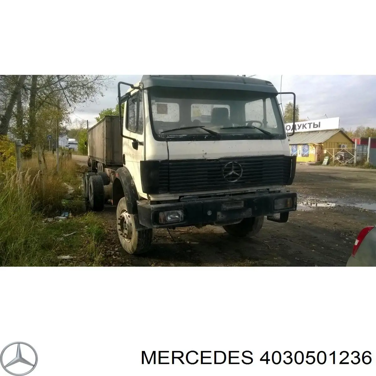 Купить 4030501236 Mercedes Ось коромысла рокеров