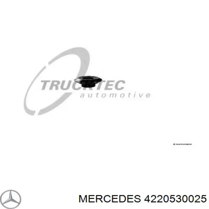 4220530025 Mercedes 