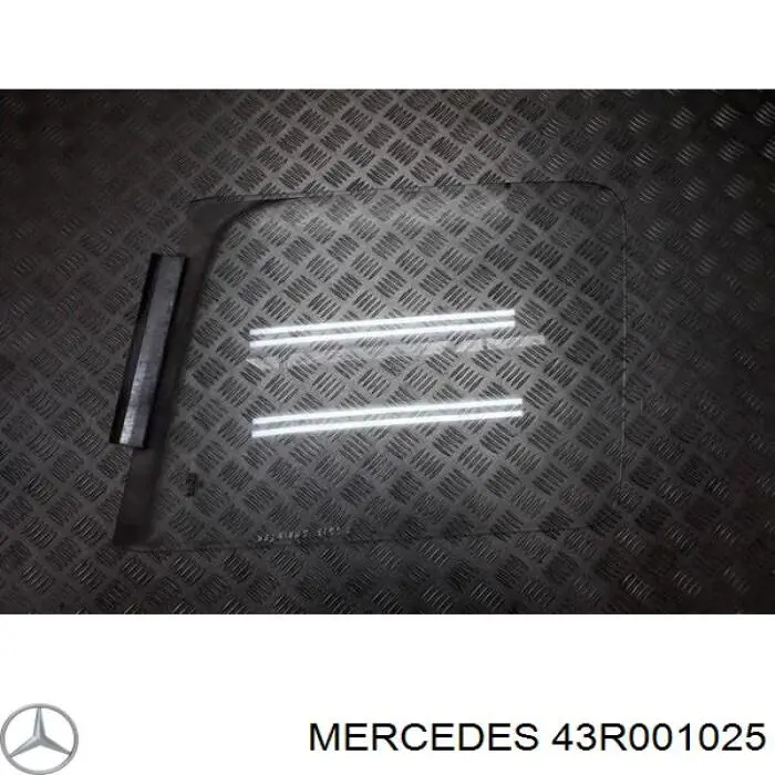 43R001025 Mercedes 