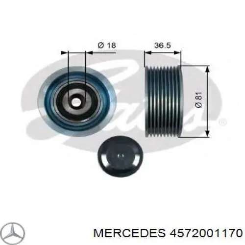 4572001170 Mercedes rolo parasita da correia de transmissão