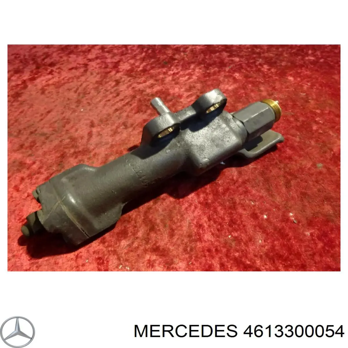  4613300054 Mercedes