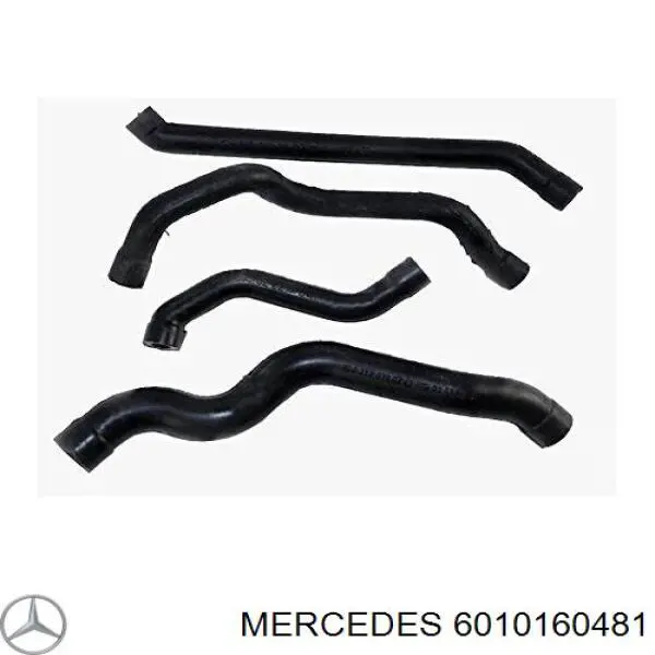 Купить 6010160481 Mercedes Трубка картера воздушная