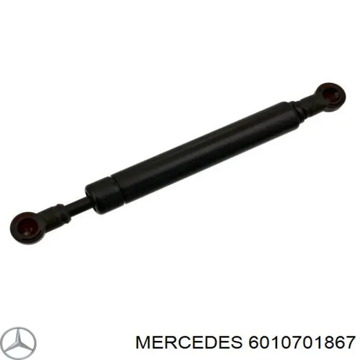  6010701867 Mercedes