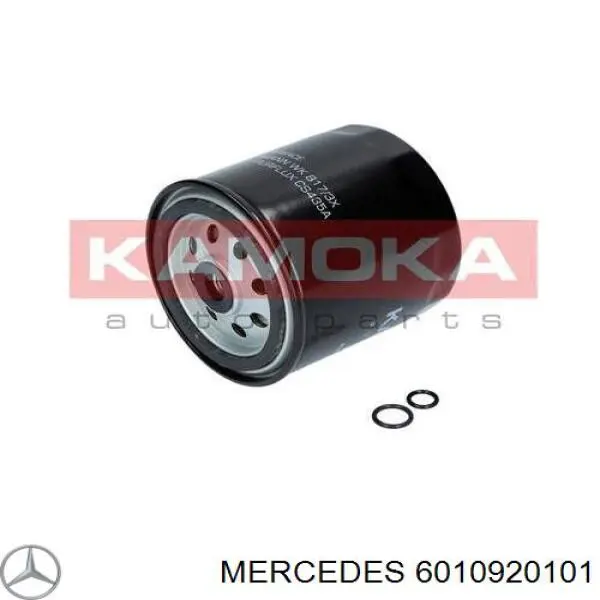 6010920101 Mercedes топливный фильтр