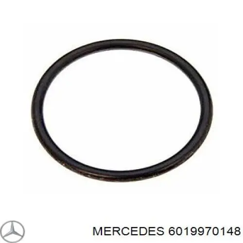 Кольцо уплотнительное фильтра грубой очистки на Mercedes Sprinter (904)
