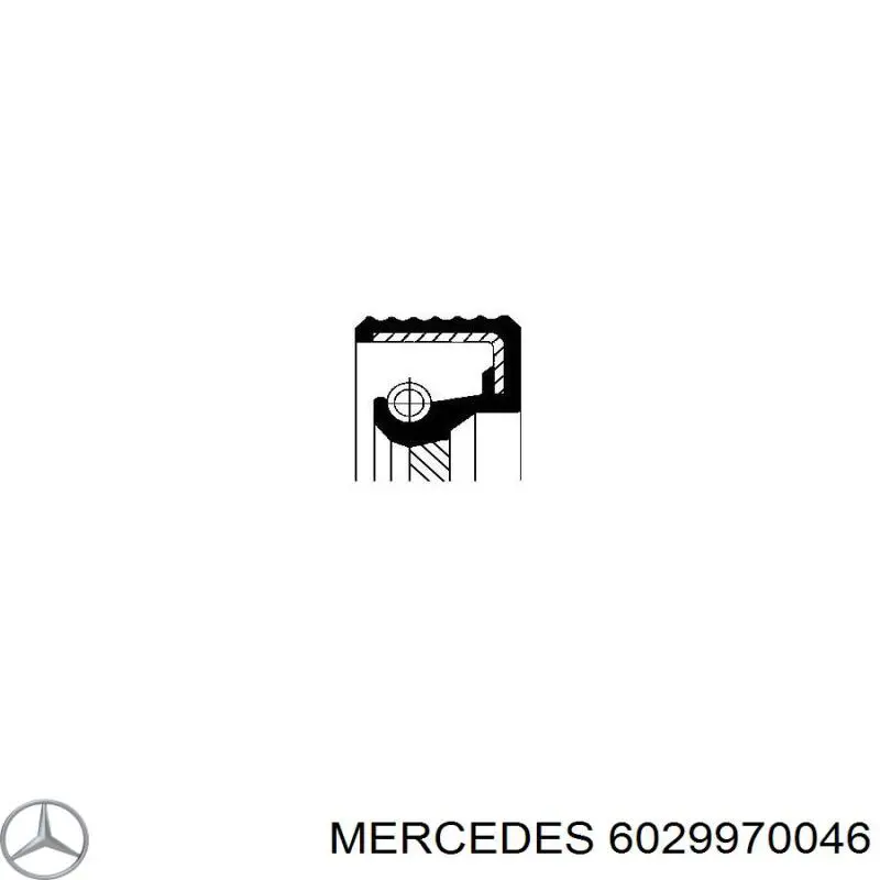 6029970046 Mercedes Сальник ТНВД