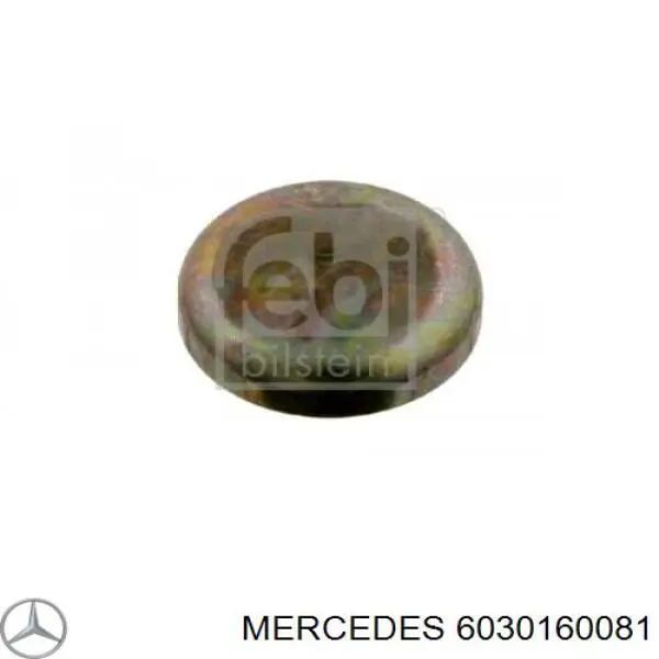 Купить 6030160081 Mercedes Трубка картера воздушная