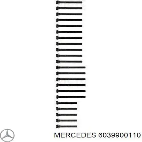 6039900110 Mercedes болт гбц