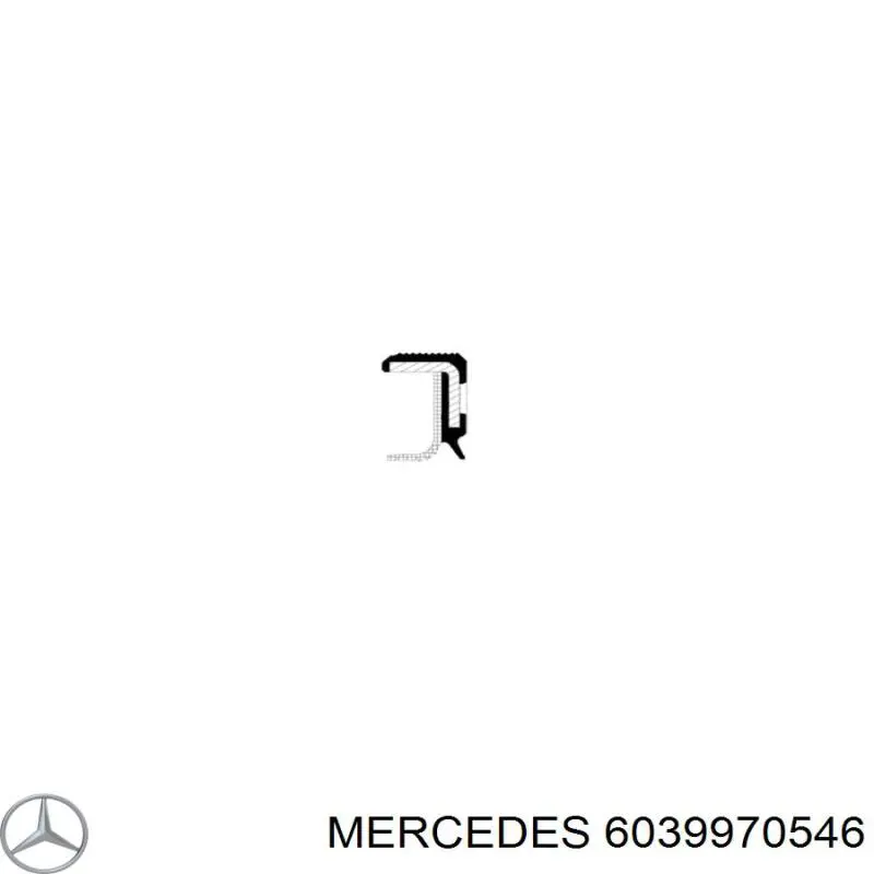 Сальник ТНВД 6039970546 Mercedes