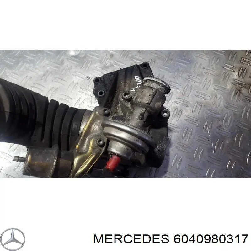 6040980317 Mercedes 