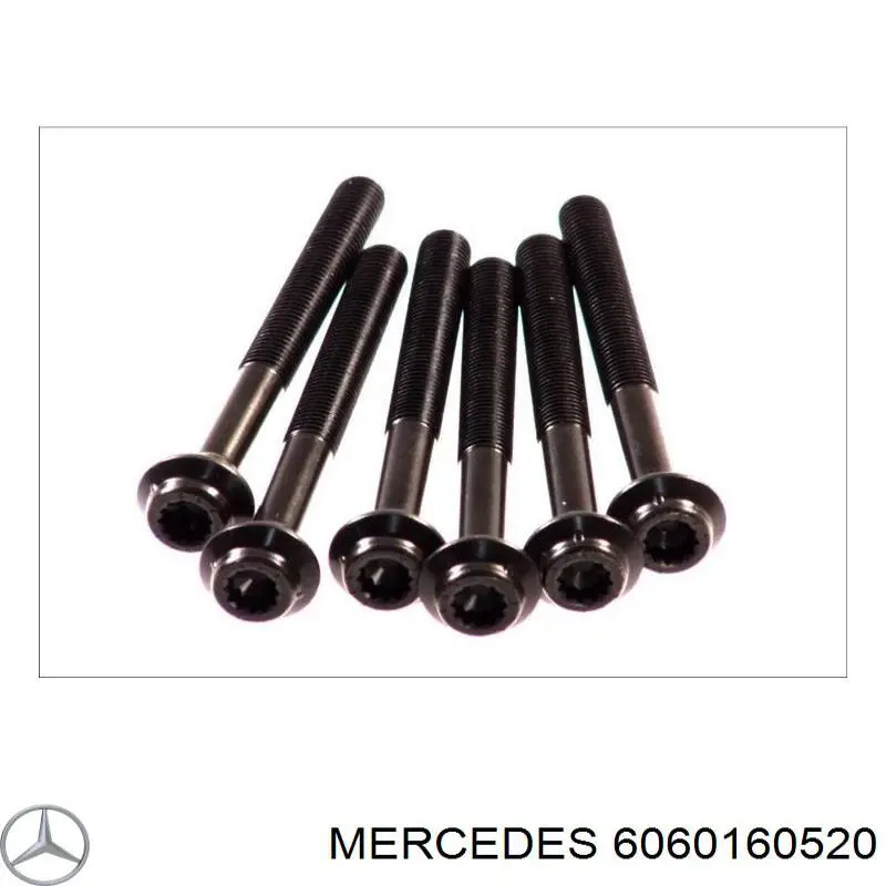 6060160520 Mercedes прокладка гбц