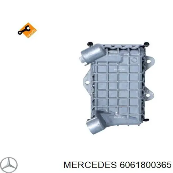 6061800365 Mercedes радиатор масляный (холодильник, под фильтром)