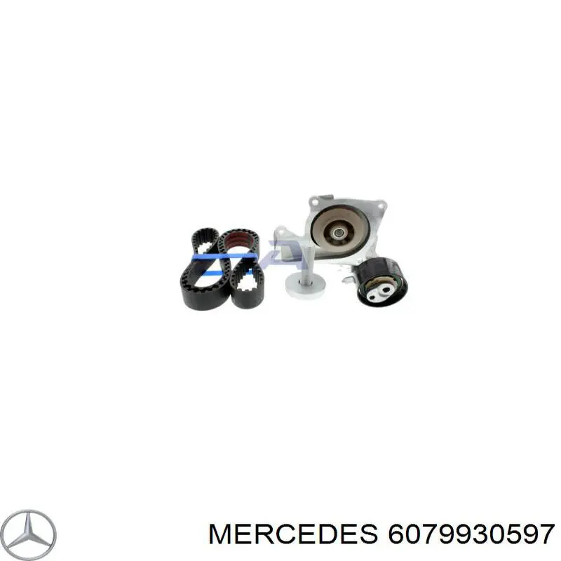 Ремень ГРМ, комплект Mercedes 6079930597
