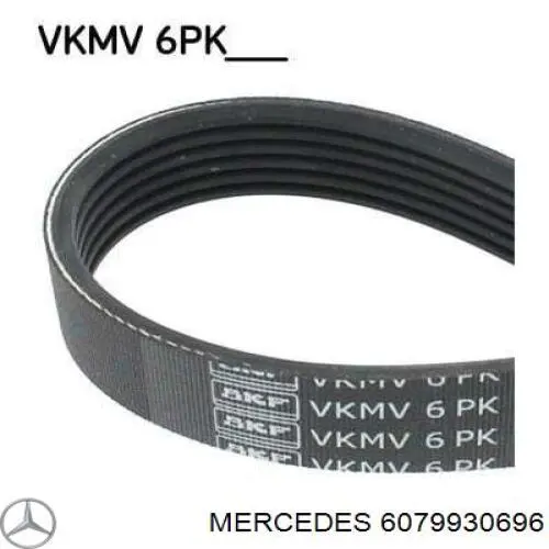 6079930696 Mercedes correia dos conjuntos de transmissão